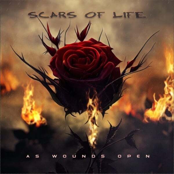 Cover art for As Wounds Open
